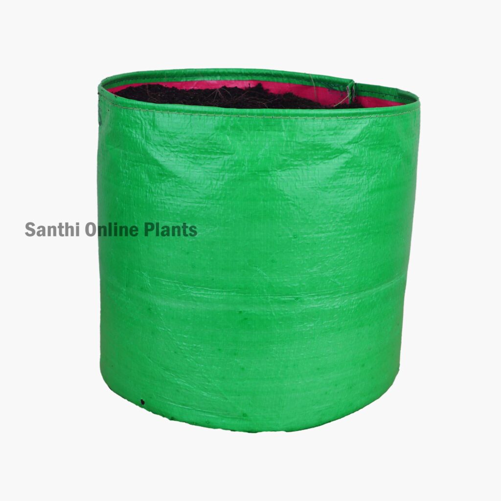 Green Grow bag 10*10 (5 PCS) - Santhi Online Plants Nursery