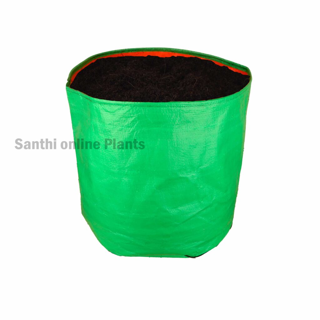 Green Grow bag 15*15(10 Pcs) (10 pcs) - Santhi Online Plants Nursery