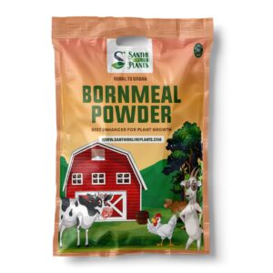 Steamed Bone Meal