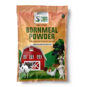 Steamed Bone Meal
