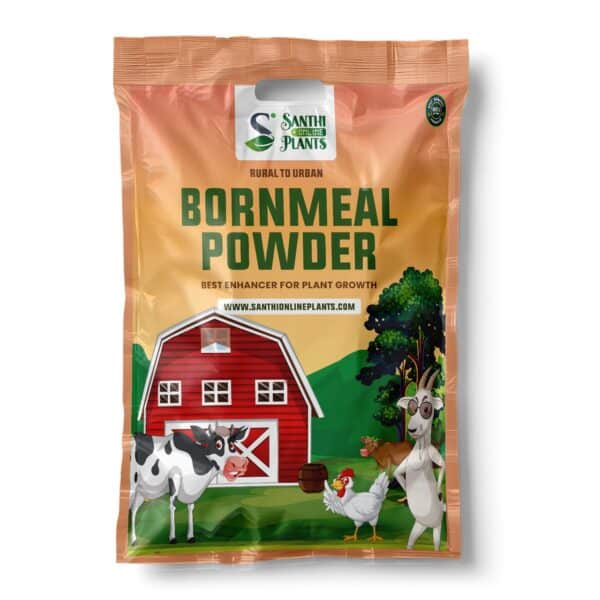 Steamed Bone Meal