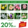 Flower plant combo