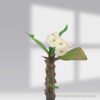 Euphorbia Milii White Pot Plant