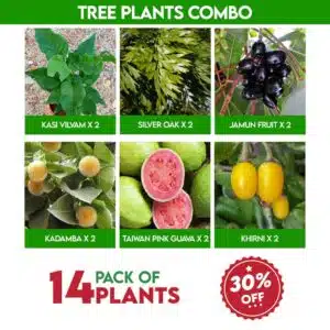 Tree Plants Combo