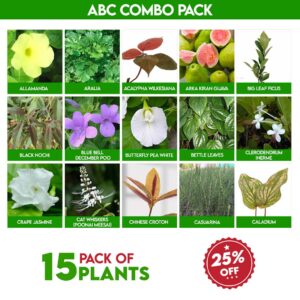 ABC Combo Pack
