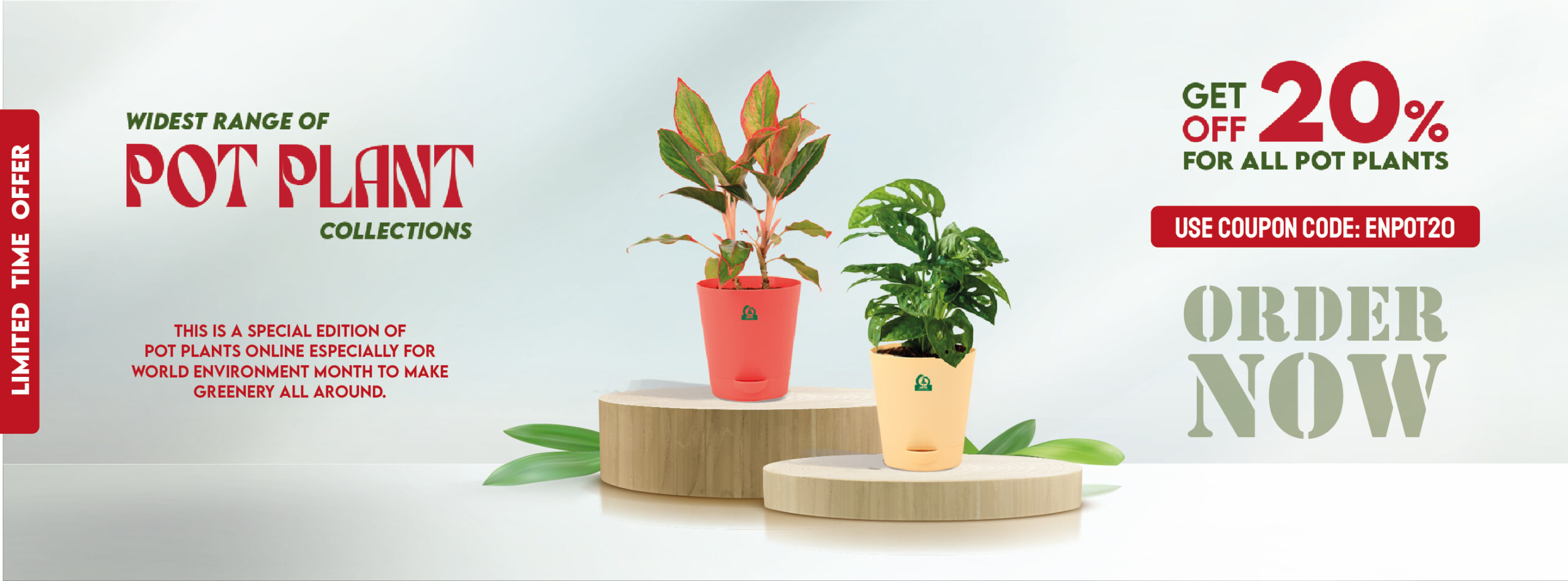 Flat 20% OFF on Pot Plants - Santhi Online Plants Nursery