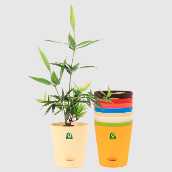 Krish Multicolors Self Watering Pots Combo - 5 pots