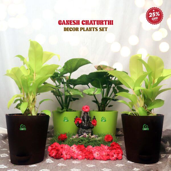 Ganesh Chaturthi Decor Plants Set