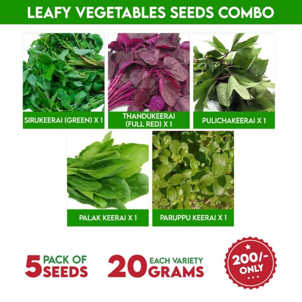 Leafy Vegetables Seeds Combo