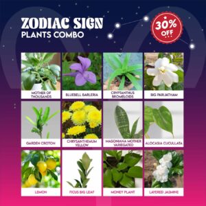 Zodiac Sign Plants Combo