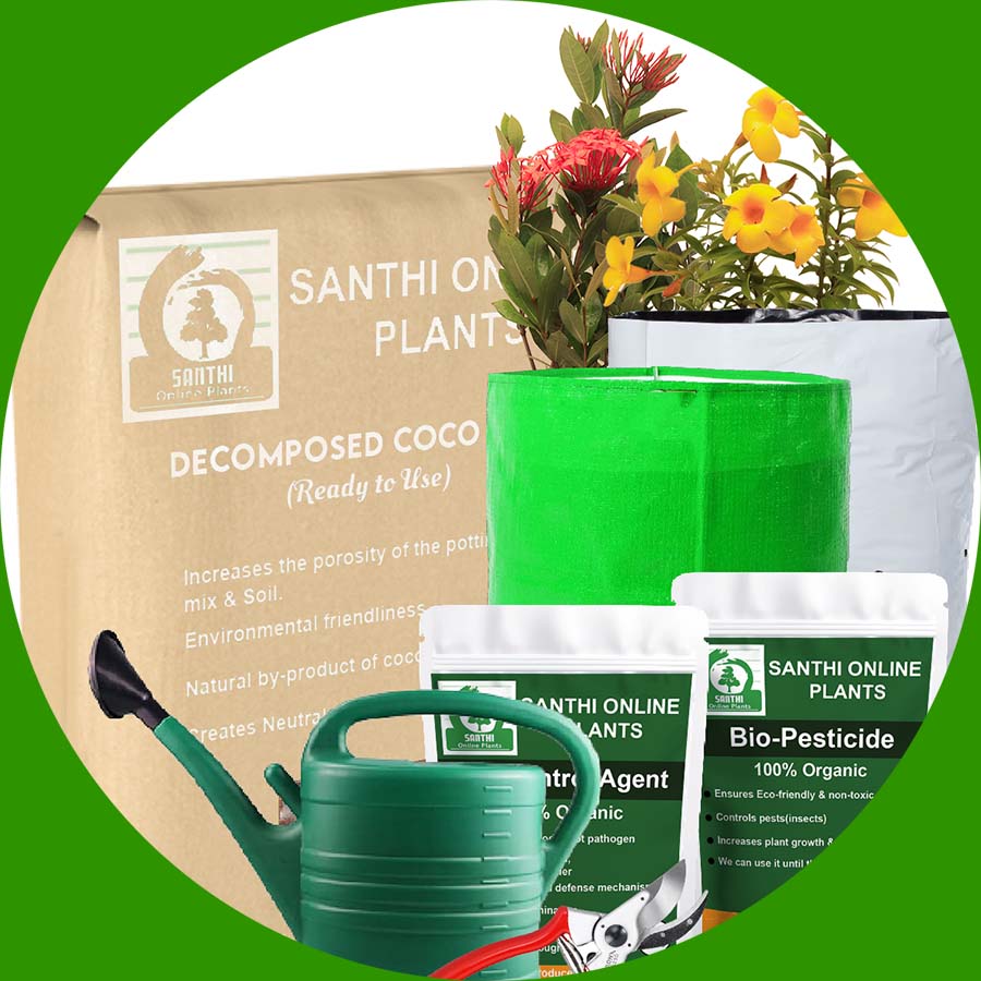 Gardening Combo Kit For Beginner's