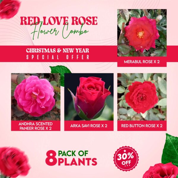 Red Love Rose Flower Combo