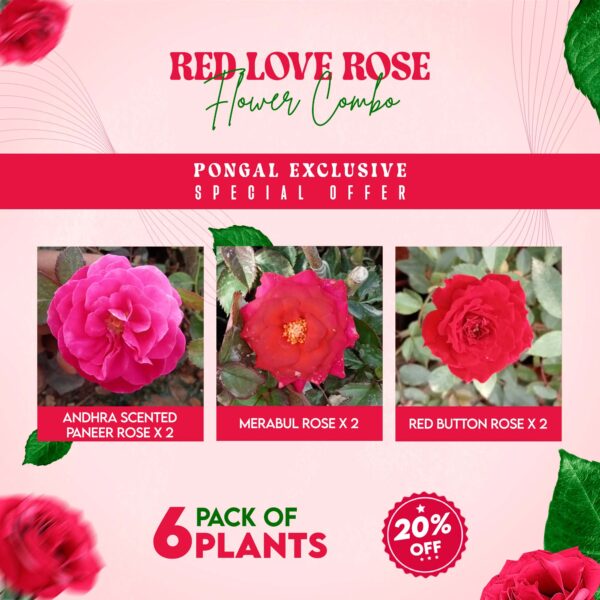 Red Love Rose Flower Combo