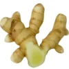 Curcuma amada