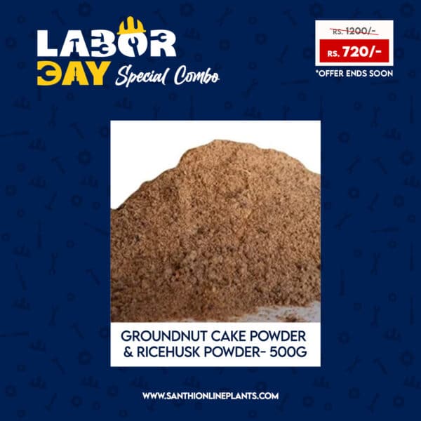 Happy workers day combo - Make your home colorful by plants