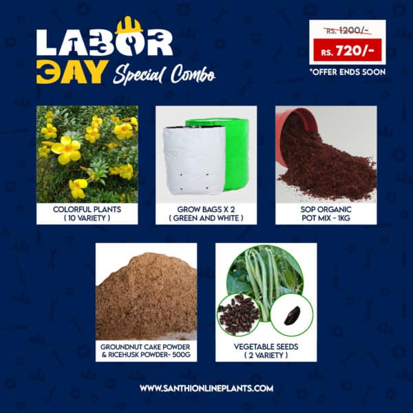 Happy workers day