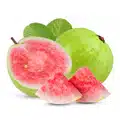 Fruit Seeds