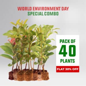 June 5 world environment day​
