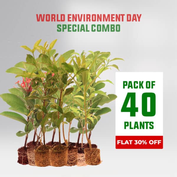 June 5 world environment day​