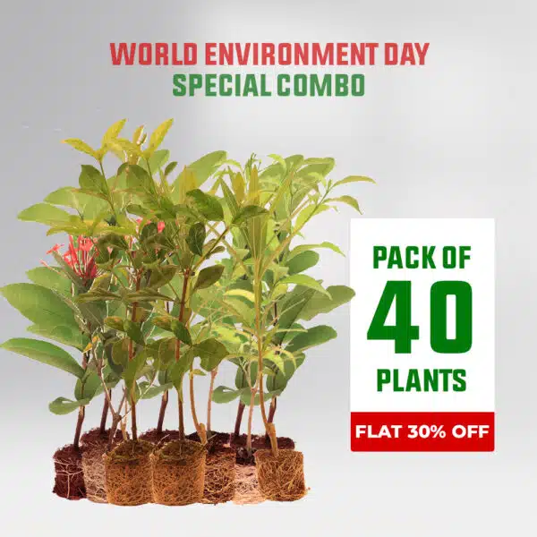 June 5 world environment day​